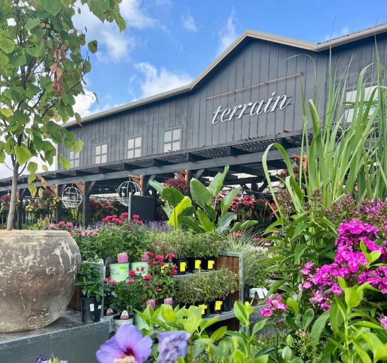 Blue Rock delivers new Terrain store, café and event space in